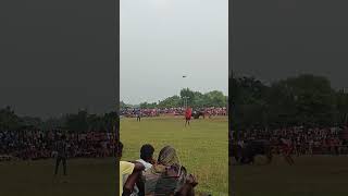 Kada Ropok 👹 New Kada Bayar Ropok Santhali Video 😜 AtShiyalpahari Maheshpur p2024 [upl. by Nemsaj238]