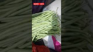 💥🌱🍆 காராமணி 🍆🌱💥 hanbuinfo5184 [upl. by Analaj]