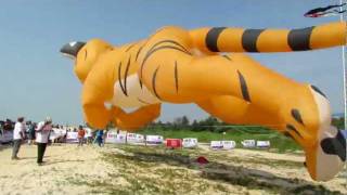 International Kite fest 2012  Panambur [upl. by Tabatha]