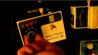 Mutron Micro V Envelope Filter PEDAL DEMO [upl. by Seve254]