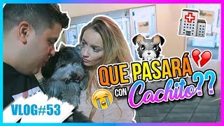 ¿QUÉ PASARÁ CON CACHITO NUEVAS NOTICIAS VLOGMAS 15 15 Dic 2017 [upl. by Karry]