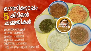 ചമ്മന്തികൾ ഇങ്ങനെ ഒന്നുണ്ടാക്കി നോക്കൂ Different types of chammanthi using mangoinjimuthira etc [upl. by Morgen]