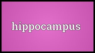 Hippocampus Meaning [upl. by Danita930]