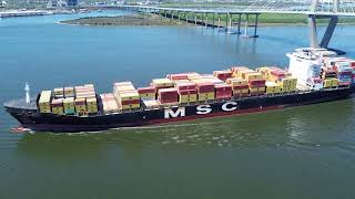 Traveling Container Ship passing under the Ravenel Bridge [upl. by Nytsua]