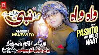 New latest Pashto Naat 2023  Wah Wah Sumra Khaista Nabi Sultan Dy  By Ameer Muawiya امیر معاویہ [upl. by Rebe919]