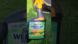 Get rid of weeds FAST by using this [upl. by Tabby]