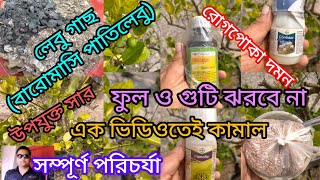 Lemon tree care in bengali [upl. by Amaleta33]