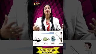 Biomagnification  Biomagnification  Environmental Issues  Shorts  bioamplification  BEAT d NEET [upl. by Adivad]