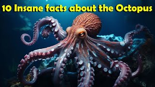 10 insane facts about the Octopus🐙 [upl. by Bachman808]