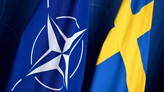 Turkey Approves Swedens NATO Accession Hungary Blocking Bid [upl. by Ebehp]