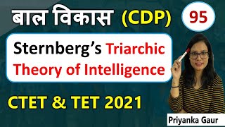 CDP95  Sternberg’s Triarchic Theory of Intelligence  CTET 2021 [upl. by Rothberg]