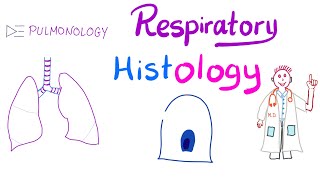 Respiratory Histology  What’s in your lung  Larynx Trachea Bronchi Bronchioles Alveoli [upl. by Schuster]