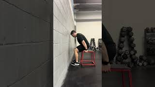 Wall Knee Extension Quad Isometrics strength baseball mobility [upl. by Loriner966]