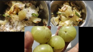 आँवला चटनी रेसिपी  Spicy Gooseberry Chutney आंवले की चटनी  Amla Chutney Recipe [upl. by Ymmas324]