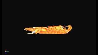 MicroCT Scan of a Beach Hopper Platorchestia platensis [upl. by Etz311]