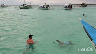 Virgin Island Bohol  Island hopping with friends Trailer [upl. by Batish]