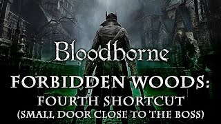 Bloodborne  Forbidden Woods  Fourth shortcut run amp Clockwise Metamorphosis location [upl. by Remde]