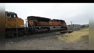 UP SD70ACe 1996 Leads A Manifest In El Paso Texas 22522 [upl. by Reffotsirhc112]