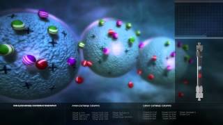 Ion Exchange Chromatography [upl. by Sabsay16]