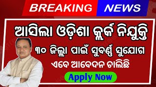 Odisha Govt Clerk Requirement 2024Earn 20000 Per Month Odisha Job Vacancy 2024odiinformer4489 [upl. by Akinot]