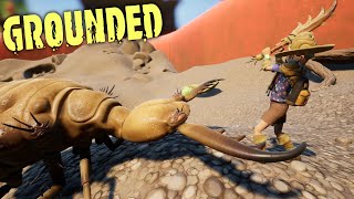 Antlion Apocalypse Adventuring Into The Sandbox  Grounded Gameplay Ep14 [upl. by Rania424]