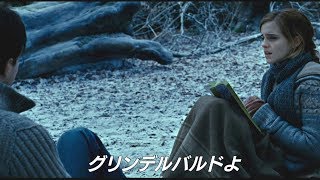 【特別映像】『ファンタスティック・ビーストと黒い魔法使いの誕生』ハリー・ポッターとの繋がりを解説！ [upl. by Beka]