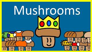 The very basics of mushrooms [upl. by Worra]