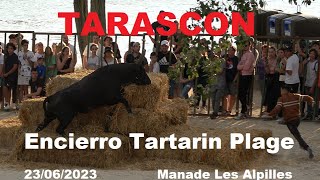 TARASCONEncierro Tartarin Plage23062023Les Alpilles [upl. by Ynned]