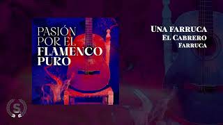 Pasión por el Flamenco Puro Audio Álbum Oficial [upl. by Nreval]