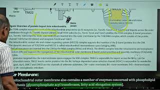 माइटोकॉन्ड्रिया और झिल्ली amp Mitochondria amp Membranes CSIR NET Lifescience by Harcharan Sir [upl. by Ranite]