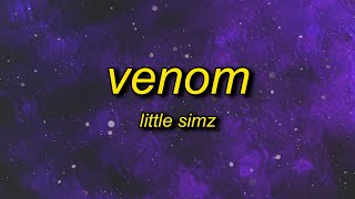 Little Simz  Venom Lyrics  its a womans world so to speak venom [upl. by Kire]