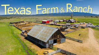 How Texas Farmers Are Running 247000 Farms And Ranches  Farming Documentary [upl. by Otrebmuh]