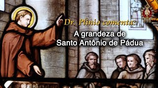 Santo Antônio de Pádua  Plinio Corrêa de Oliveira  Arautos do Evangelho [upl. by Lerrud88]