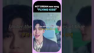 NCT DREAM prerelease song quotFLYING KISSquot MV [upl. by Stichter]