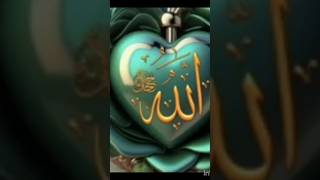 Chemmy star beautifulsong ytshorts 🤲🕋🤲🕋🤲🎵 [upl. by Manouch]