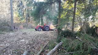 Mit den Güldner Allrad im Herbstwald [upl. by Lorri]