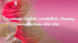 maappilappaattu karaoke  മിനു മിനെ മിനു മിനെ [upl. by Naamana239]