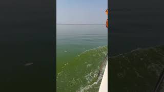 Tourist enjoy boat ride on river Godavari [upl. by Angus]