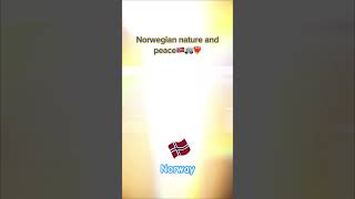 News Norwegian countryside camper campervans van vanlife campervan travel [upl. by Ricardama797]