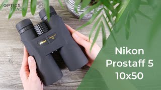 Nikon Prostaff 5 10x50 Binoculars Review  Optics Trade Reviews [upl. by Aneeuq94]