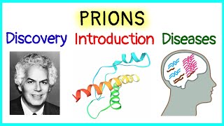 Prions  Discovery  Introduction  Diseases caused by Prions [upl. by Dolhenty]