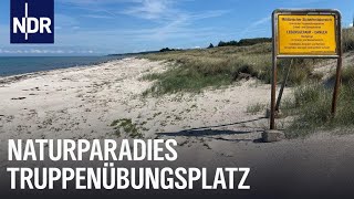 Truppenübungsplatz  Das Schutzgebiet am Ostseestrand  Die Nordreportage  NDR Doku [upl. by Wohlen904]