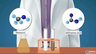 Oxidation Reaction of Carbon Compounds  Chemistry  Class 10 [upl. by Lenwood898]