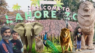 Lahore Zoo Reopened  Lahore Zoo 2024 Latest Video  Lahore Zoo 2024 [upl. by Frieder]