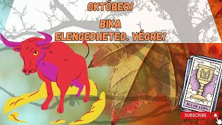 Bika   Tarot előrejelzés 12 csillagjegynek [upl. by Plafker]