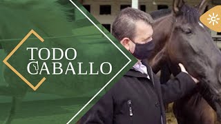 TodoCaballo  Pedro Llargués uno de los últimos tratantes de caballos [upl. by Revart]