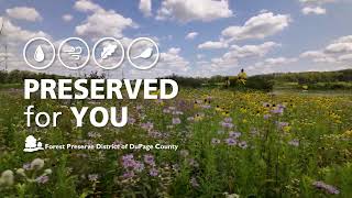 20 years of restoration at Herrick Lake Forest Preserve [upl. by Ullyot]