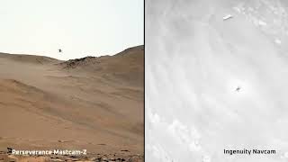 See Mars Helicopter fly from Perseverance and Ingenuity cams [upl. by Dalpe]