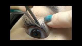 How to apply flare false eyelashes for a natural look [upl. by Ullyot]