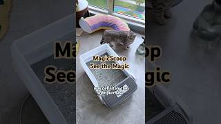 🎉Favorite pet supply of the year  MagicScoop Automatic Litter Box smartlitterbox pets cat [upl. by Hinze]